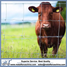 Sheep High Quality Galvanized Sheep Field Fence